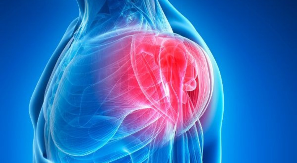 Shoulder Replacement Reimagined: Preserved Muscle, Faster Recovery