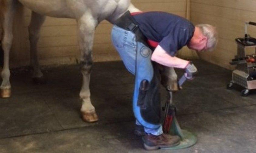 Mike, Bilateral Knee Replacement