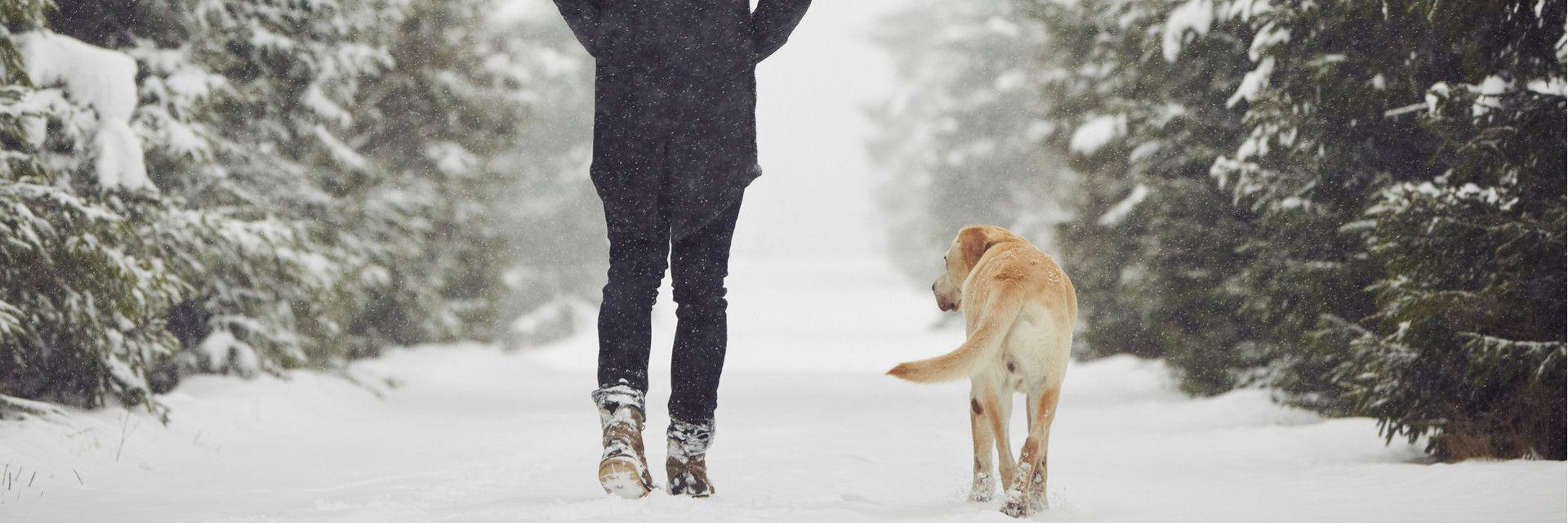 Injuries Caused By Slipping On Ice: Top 5 Injuries and What To Do Next